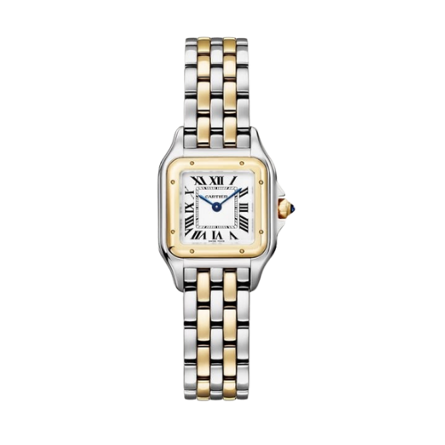 Cartier Mother of Watch "Silver x Gold"