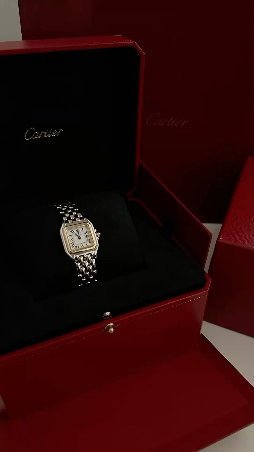 Cartier Mother of Watch "Silver"